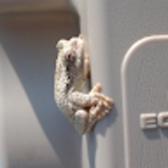 Meet your Posher, Elliot - Picture 1 of 1